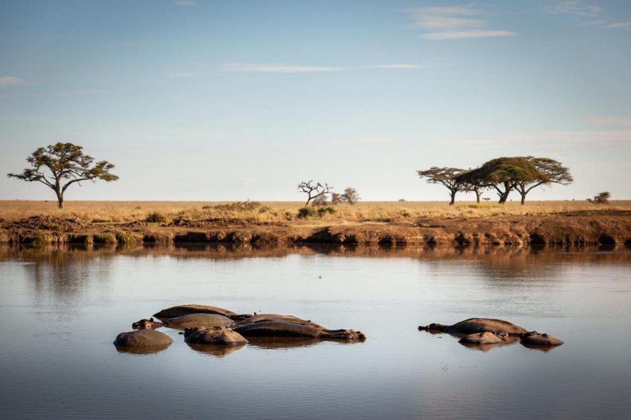 Mawe Tented Camp Serengeti Zewnętrze zdjęcie