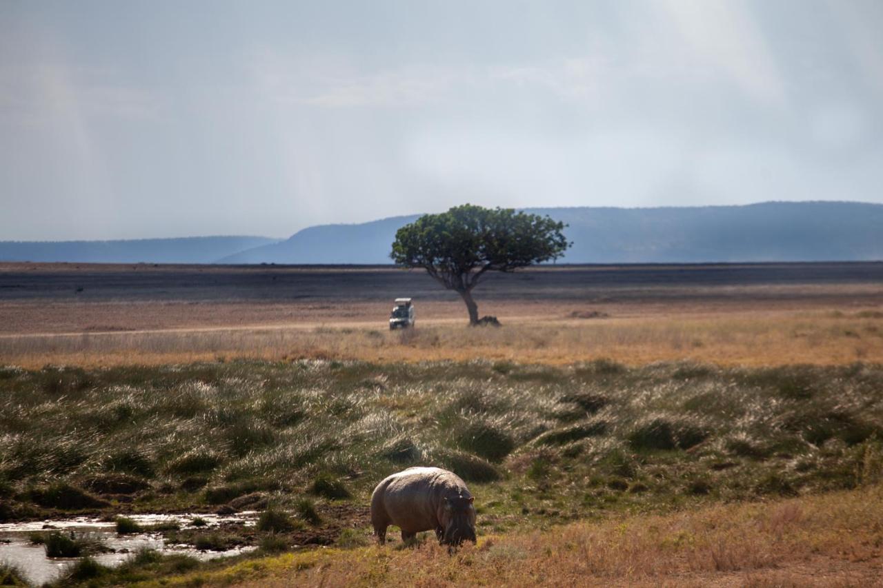 Mawe Tented Camp Serengeti Zewnętrze zdjęcie