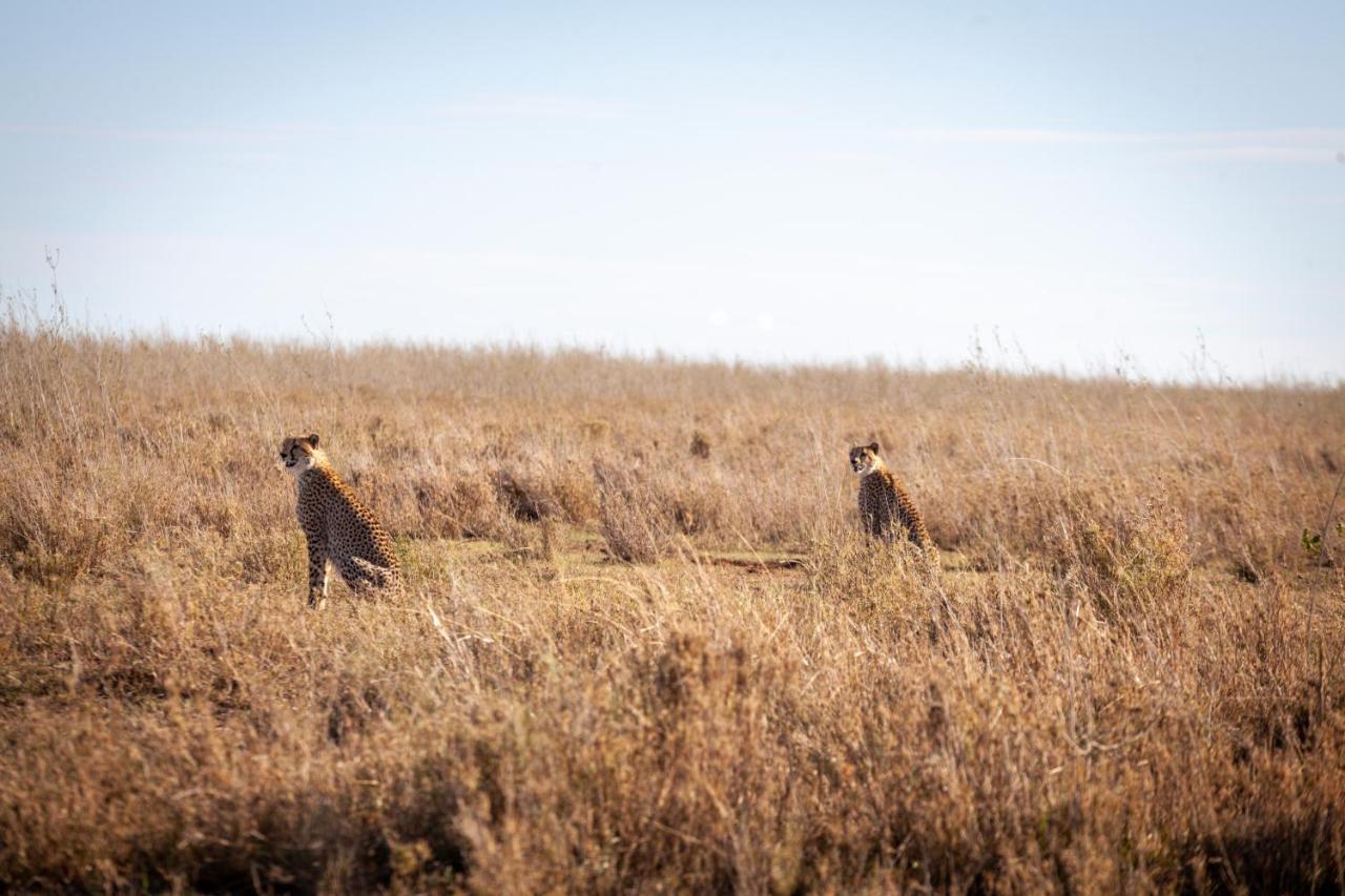 Mawe Tented Camp Serengeti Zewnętrze zdjęcie