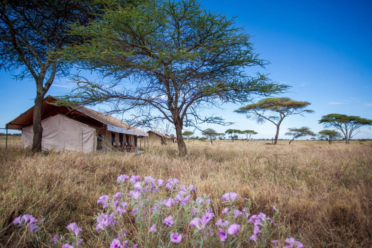 Mawe Tented Camp Serengeti Zewnętrze zdjęcie