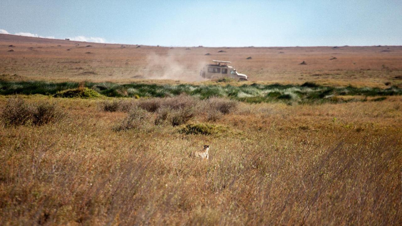 Mawe Tented Camp Serengeti Zewnętrze zdjęcie