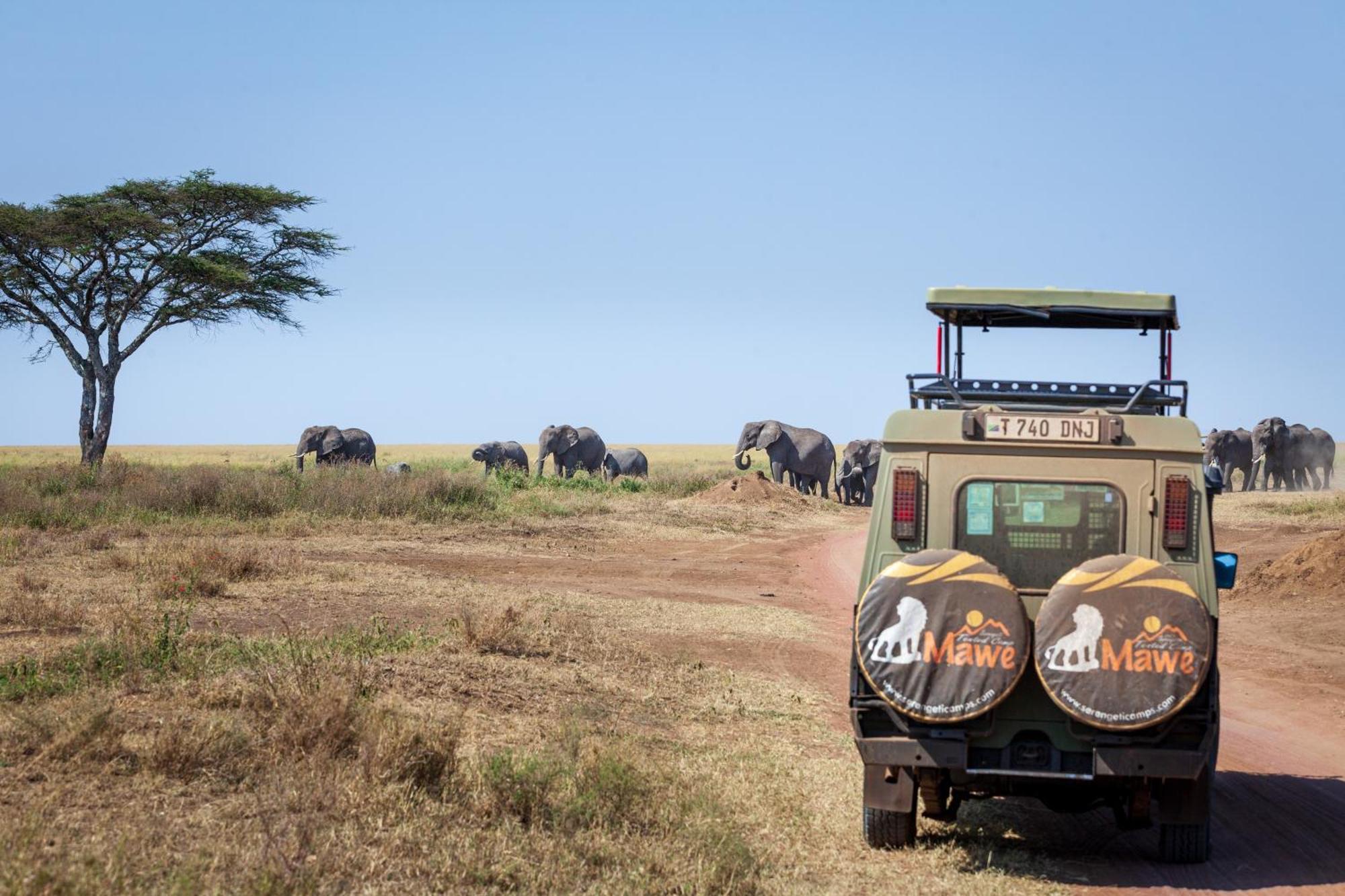 Mawe Tented Camp Serengeti Zewnętrze zdjęcie