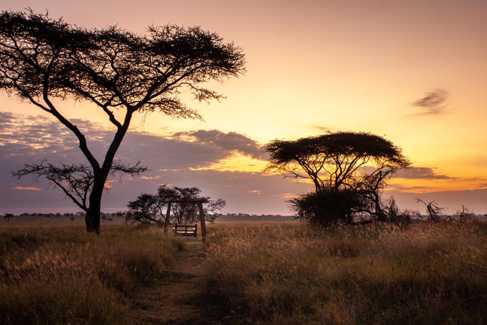 Mawe Tented Camp Serengeti Zewnętrze zdjęcie