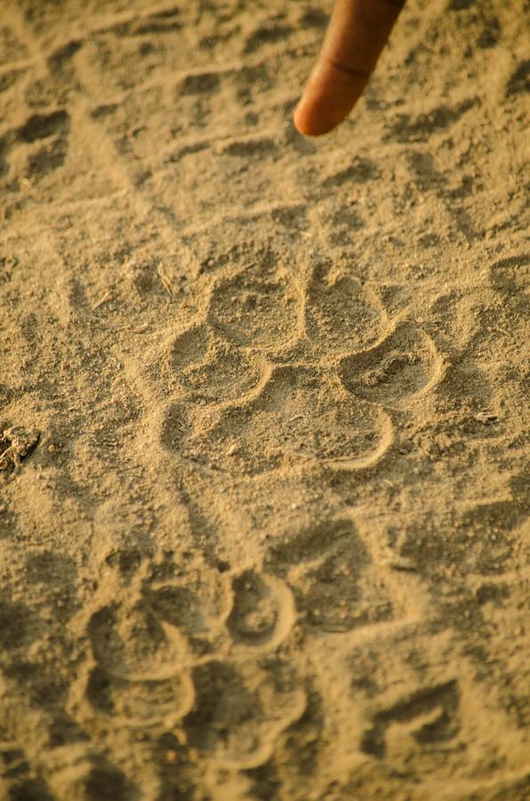 Mawe Tented Camp Serengeti Zewnętrze zdjęcie